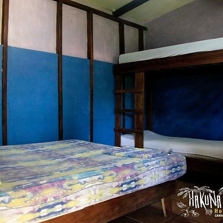 Hakuna Matata Hostelカウイータ エクステリア 写真