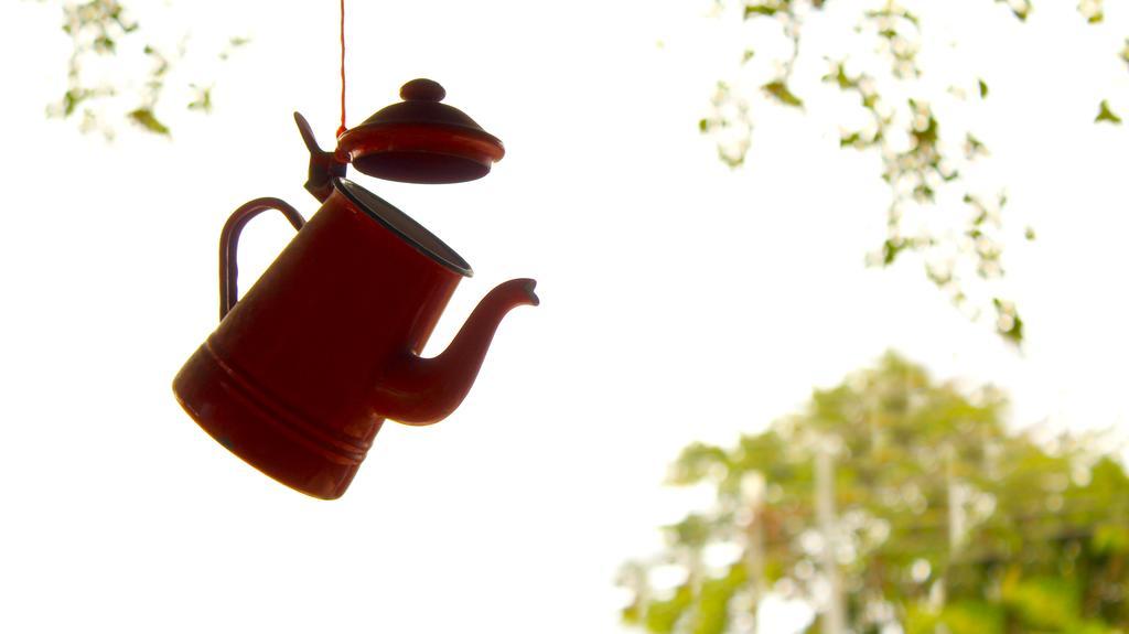 Hakuna Matata Hostelカウイータ エクステリア 写真