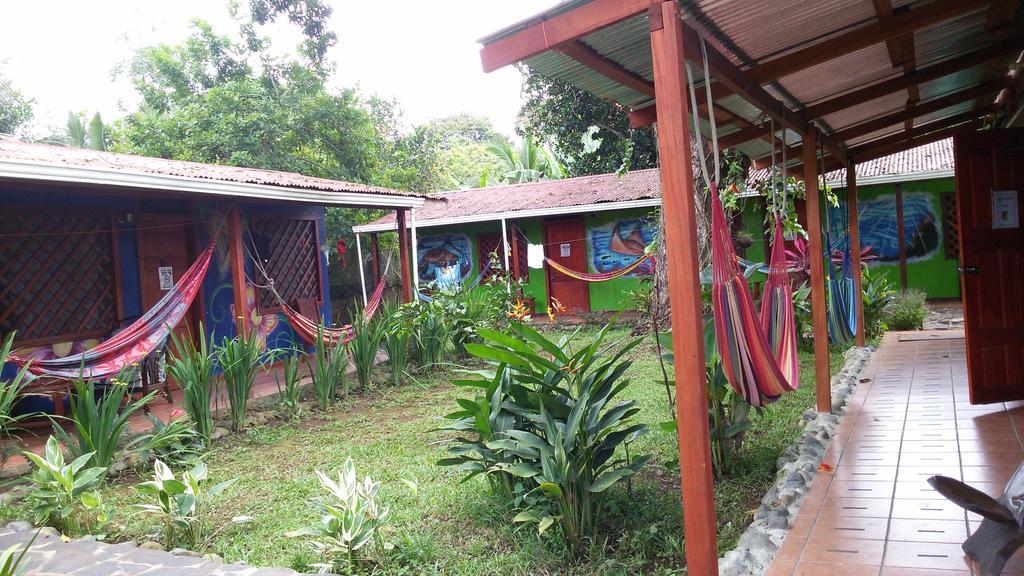 Hakuna Matata Hostelカウイータ エクステリア 写真