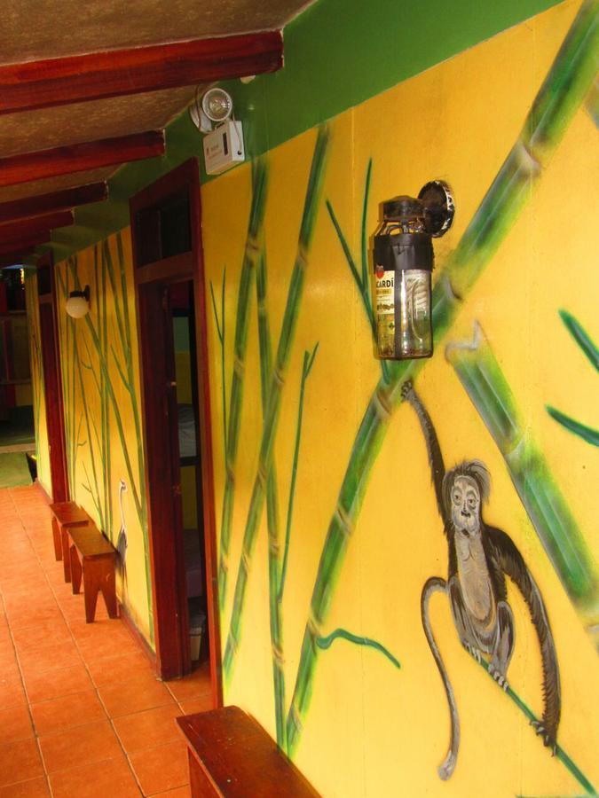Hakuna Matata Hostelカウイータ エクステリア 写真