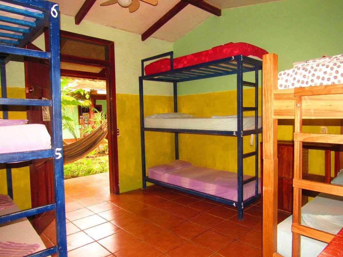 Hakuna Matata Hostelカウイータ エクステリア 写真