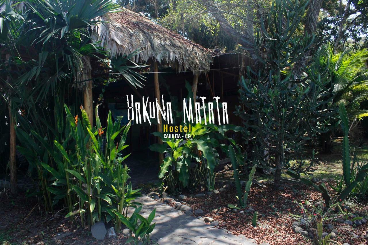 Hakuna Matata Hostelカウイータ エクステリア 写真