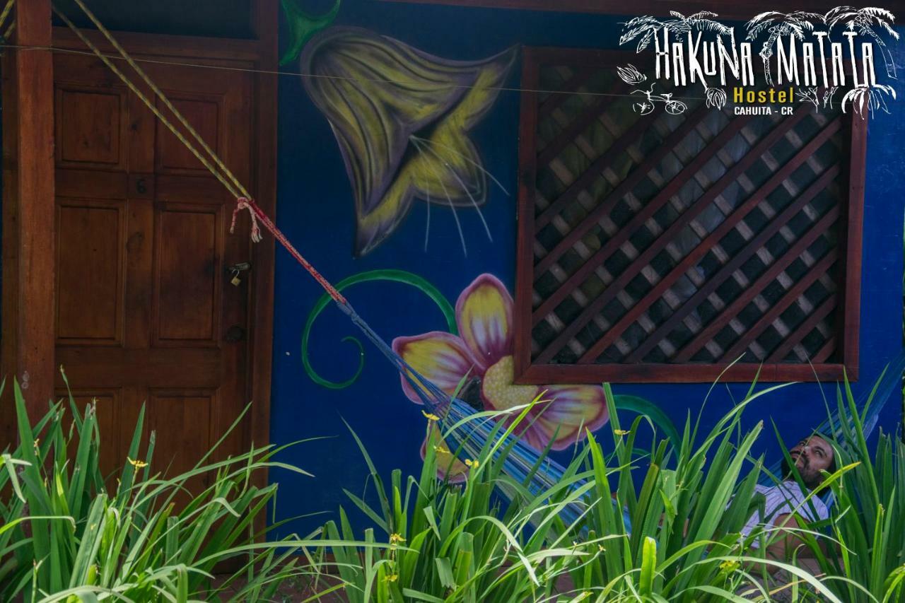 Hakuna Matata Hostelカウイータ エクステリア 写真